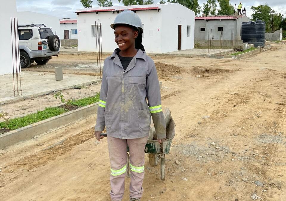 Newsletter #1: Buckle up!