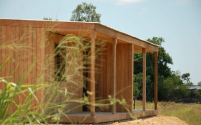 Newsletter #Dec ’22: Pit Stop